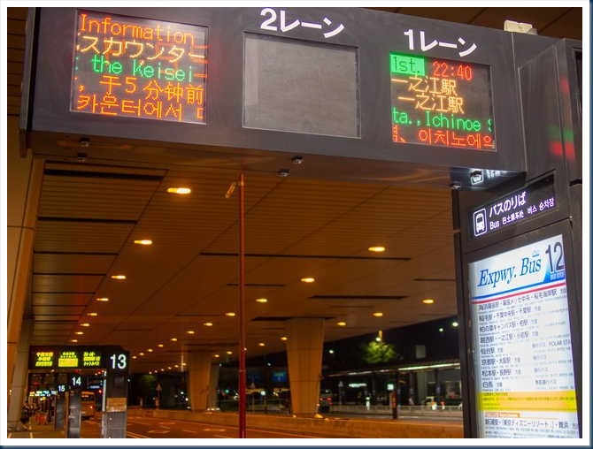 OM137823