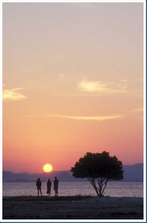 20020823_13-019_Kanawa Island_Frores