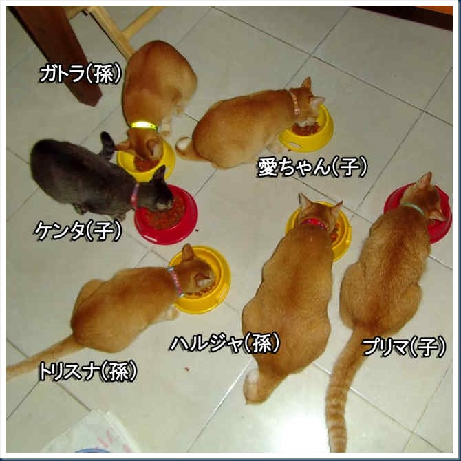 DSCF6579