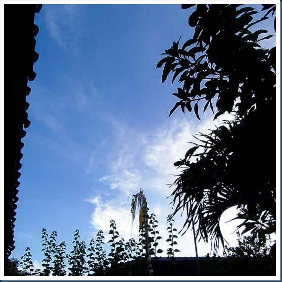 DSCF6522