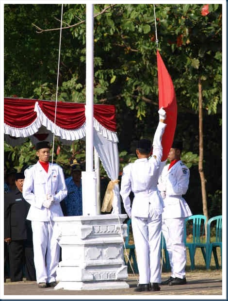 OM172289
