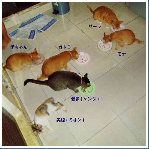 DSCF4922