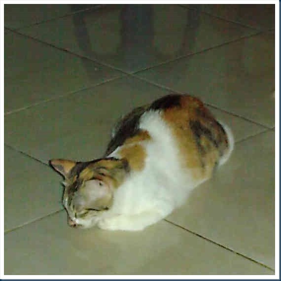DSCF5936