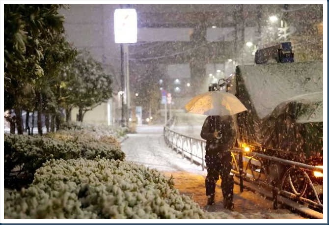 20240205_snow