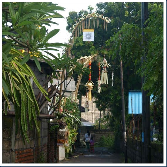 OM056028