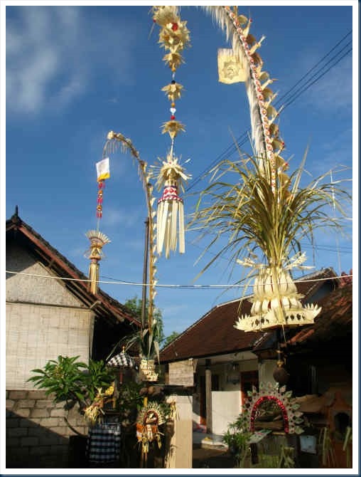 OM056029