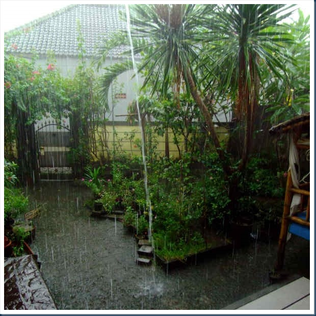 DSCF2677