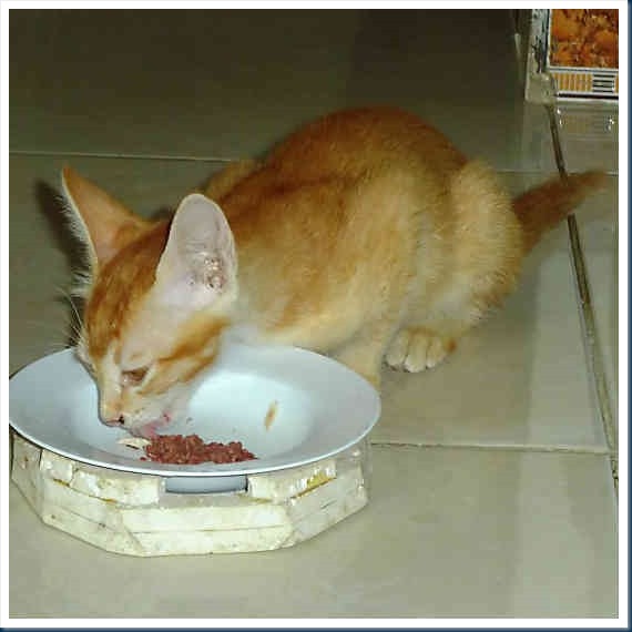 DSCF5486