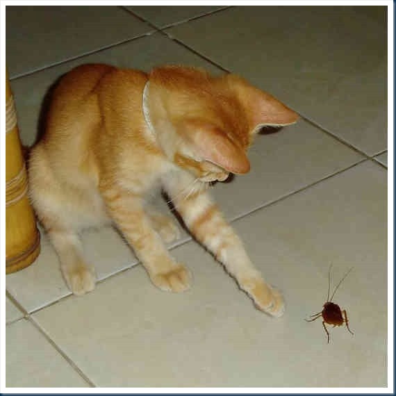 DSCF5734