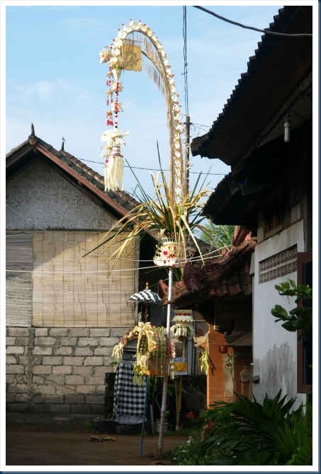 OM103164